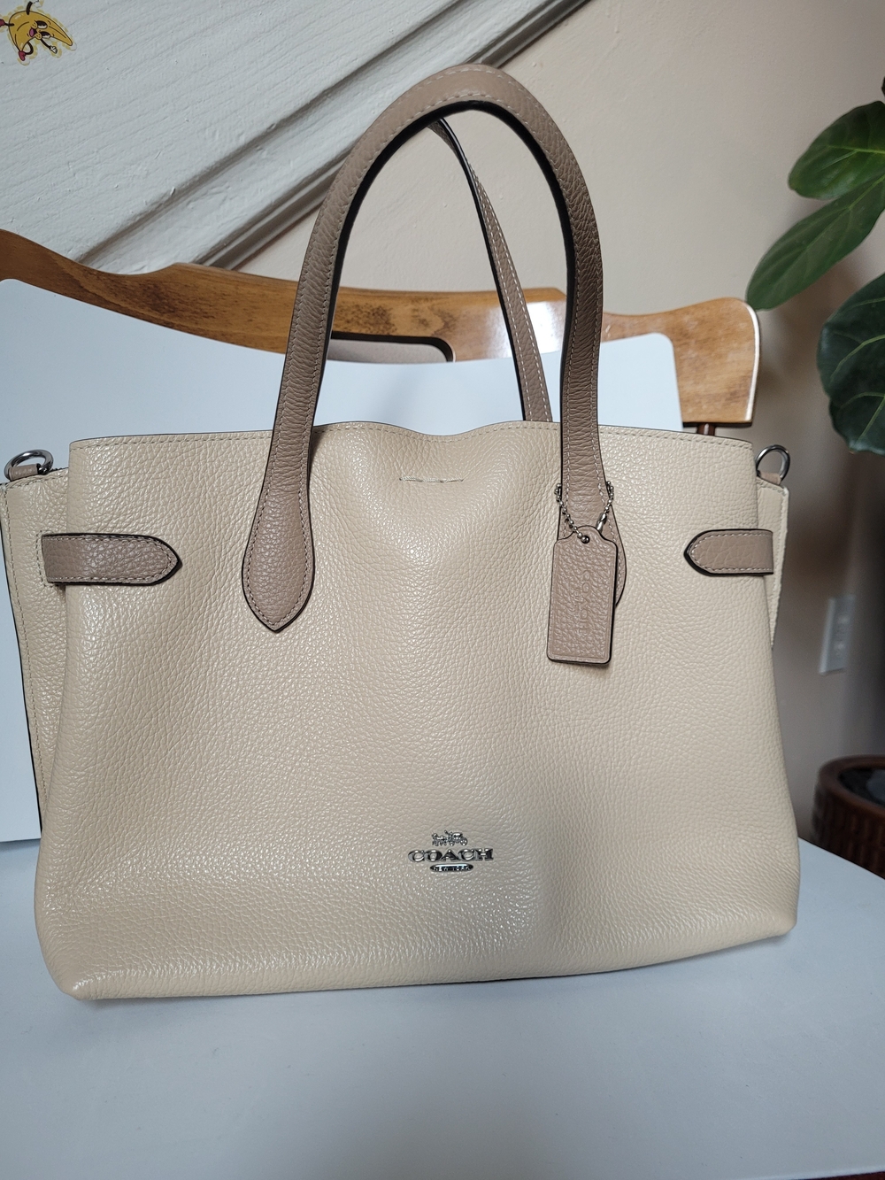Coach Hanna Carryall